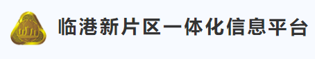 临港新片区一体化信息平台