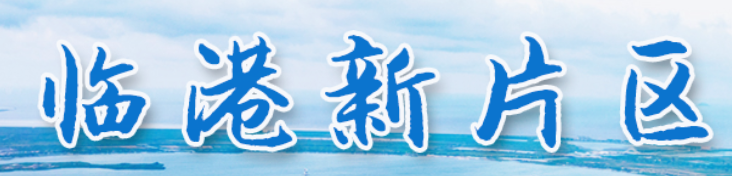 临港新片区管委会